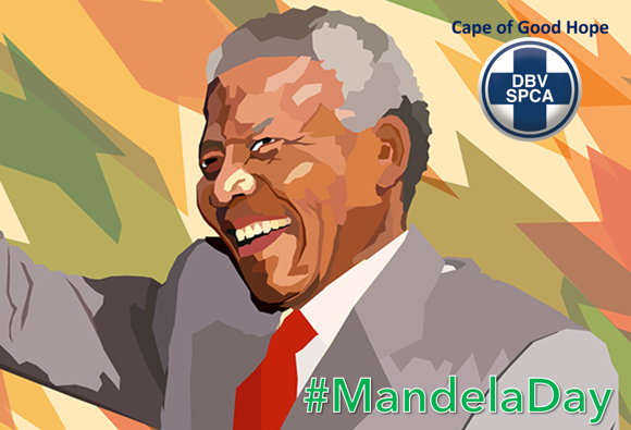 mandela-day-2022-events-in-cape-town-spca