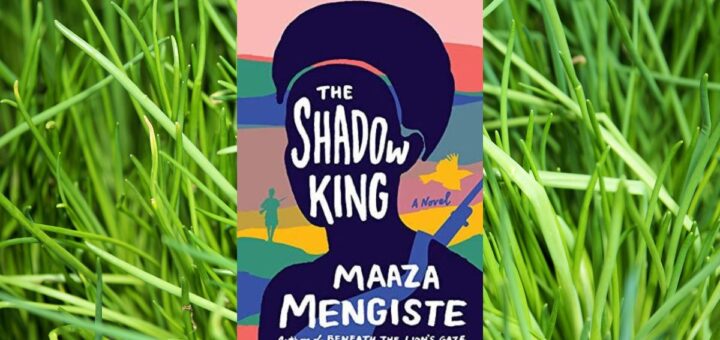 novel-set-in-ethiopia-the-shadow-king