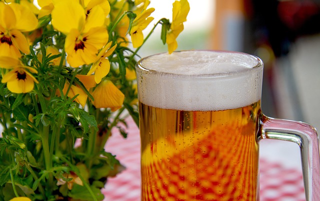 beer-at-spring-events-and-festivals-in-south-africa