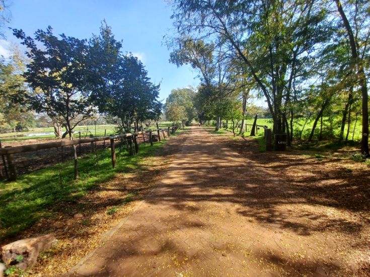 countryside-farm-lane