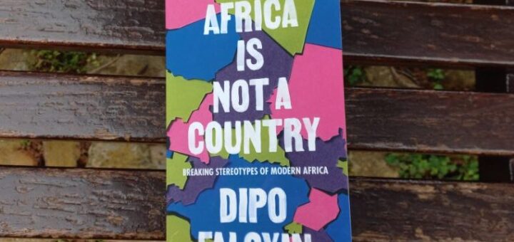africa-is-not-a-country-review-cover